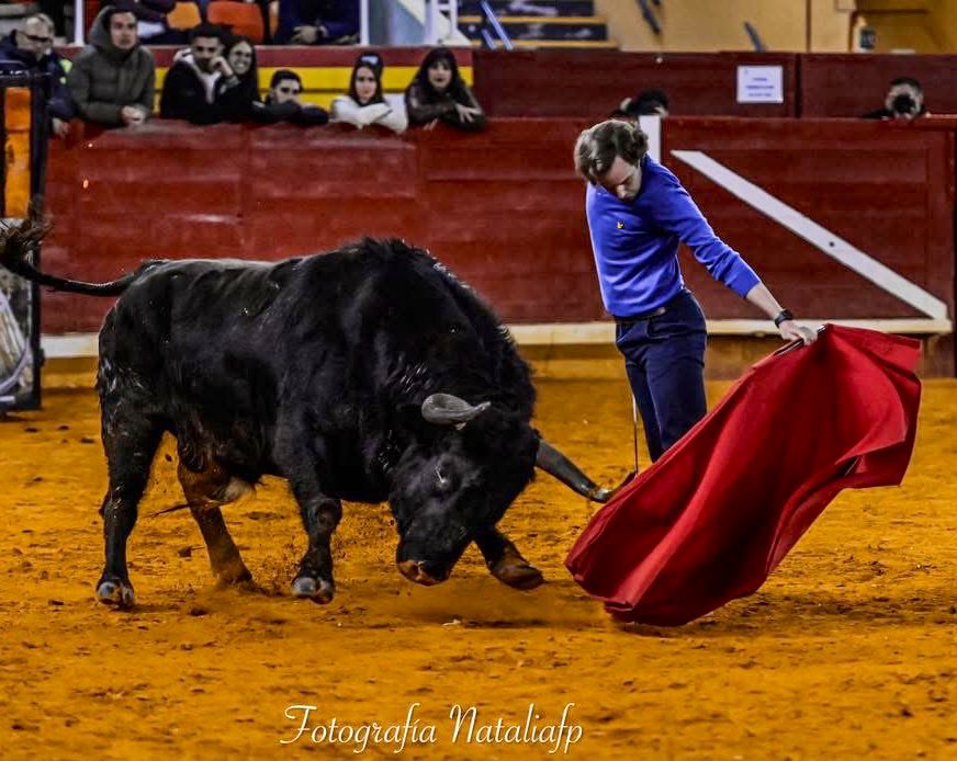 Ignacio Olmos tweet media