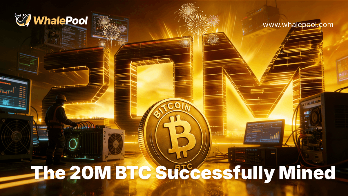 WhalePool tweet media