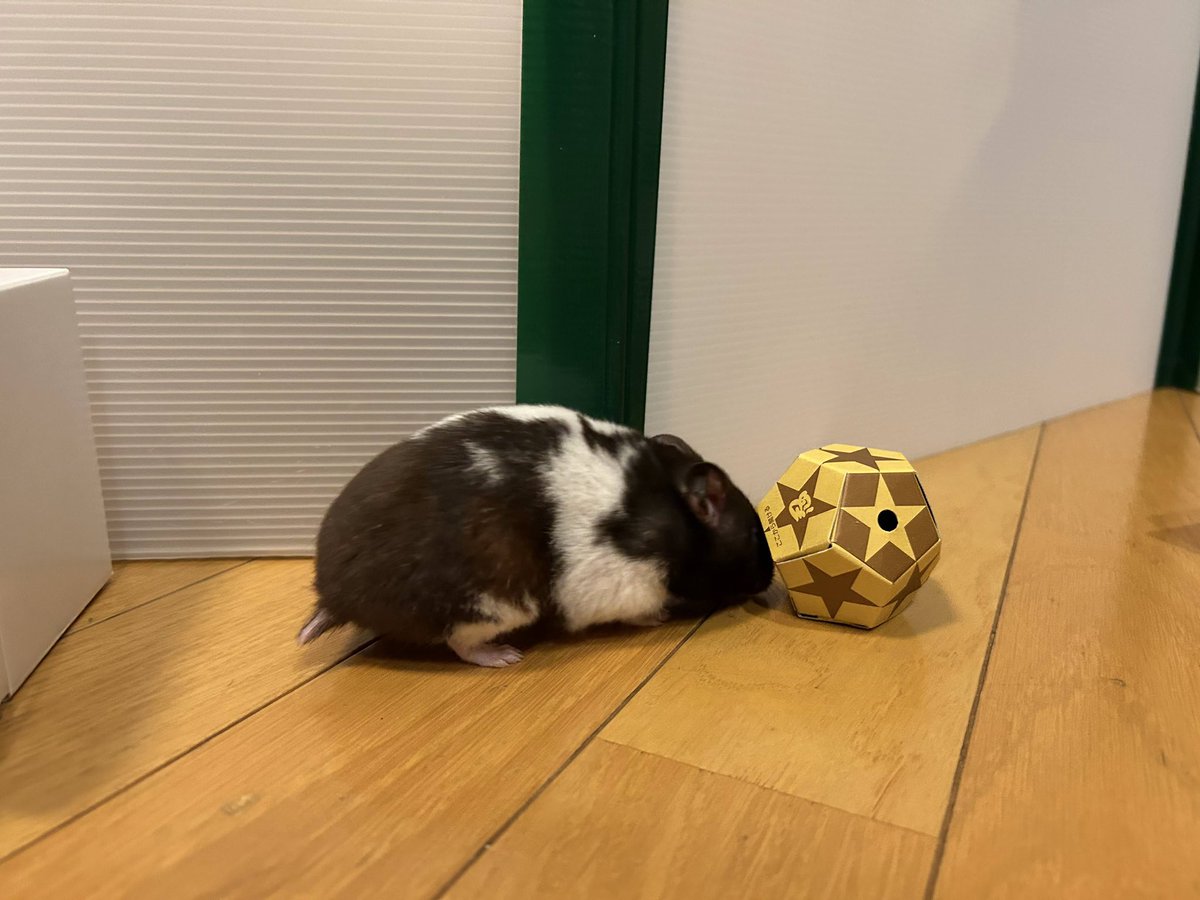 一般社団法人 ハムメディア tweet media