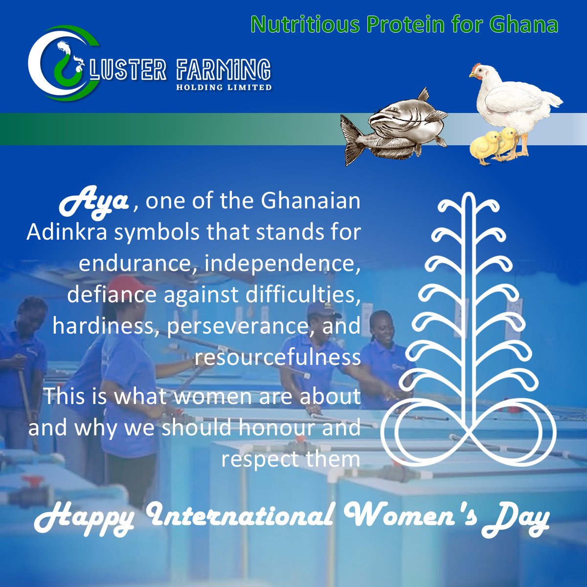 ClusterFarm's tweet photo. International  Women's Day 2026, this is the moment to celebrate the women that are  important to all business sectors, to families, to friends, better  still; to all of us!

#IWD26 #WomenEmpowerment #Equality #Respect https://t.co/iM1yHBtxEq
