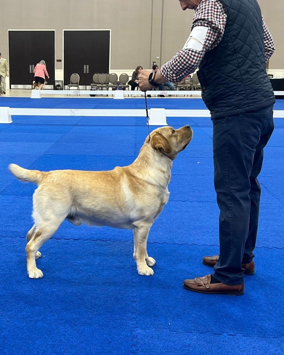 Roberts Centre tweet media