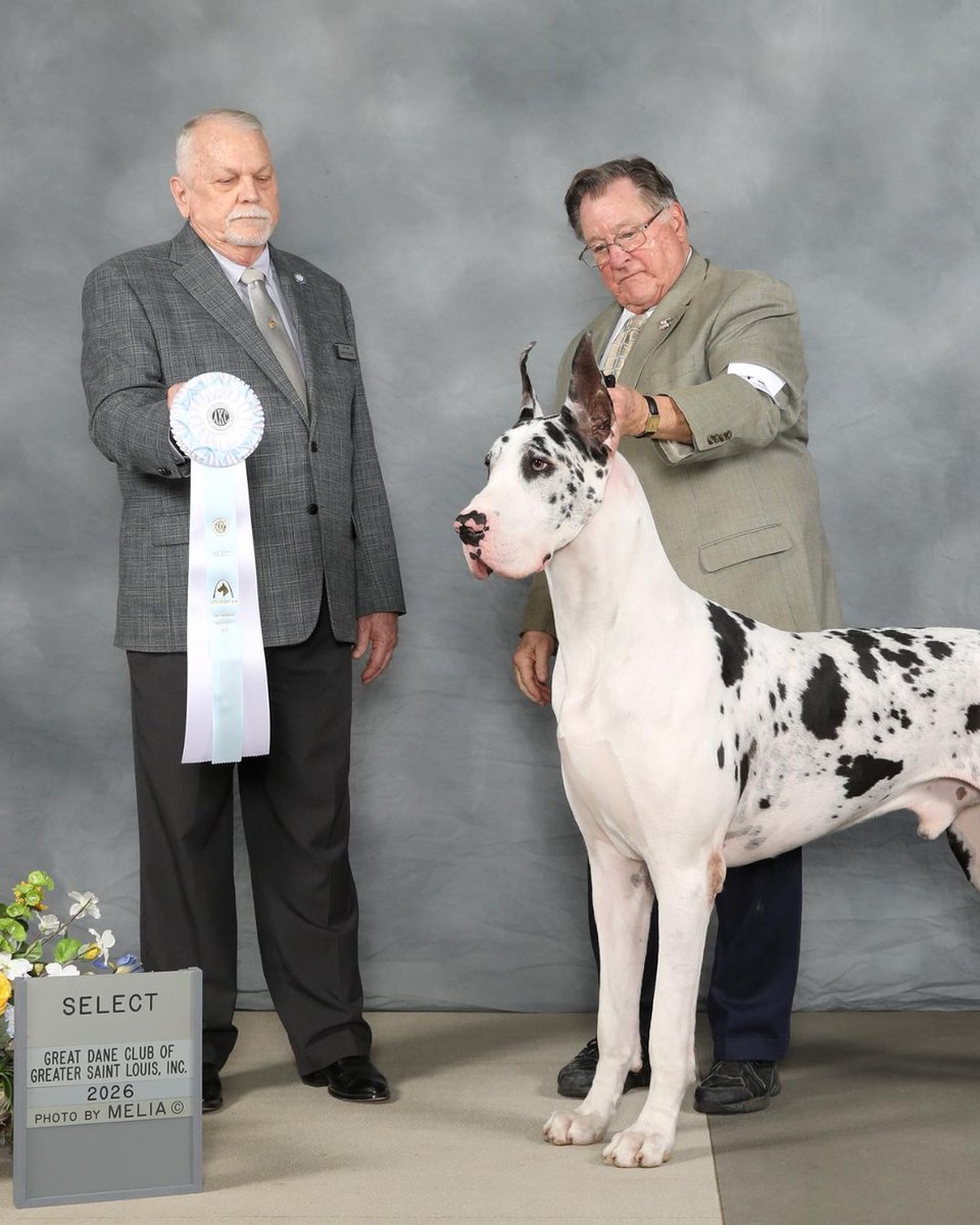 Roberts Centre tweet media