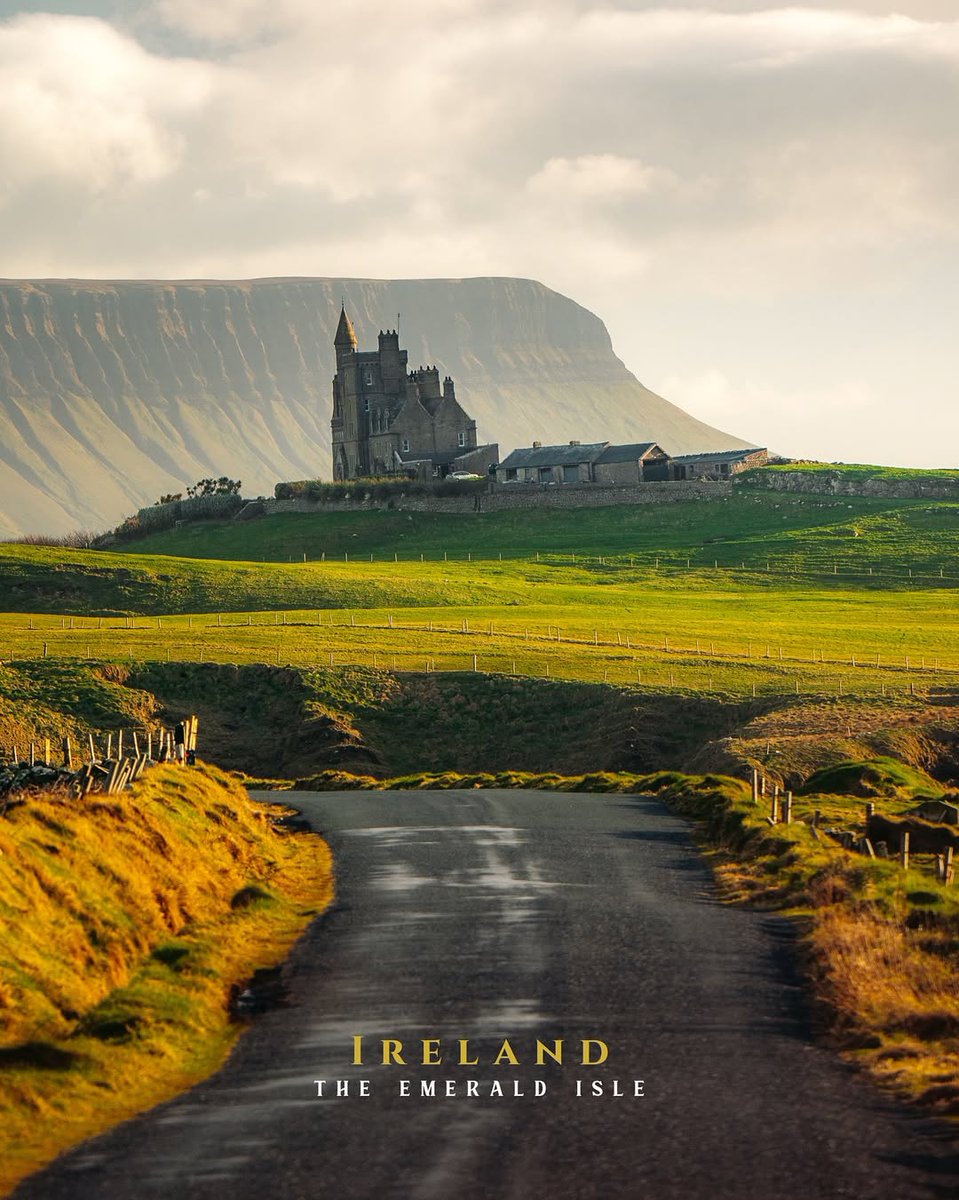 🌲Norway Pine 🇳🇴🐇 (@norway_pine) on Twitter photo 