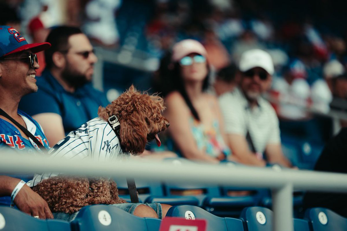 Explora San Juan tweet media