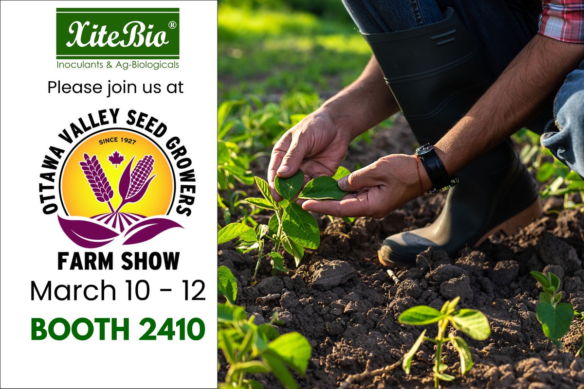 XiteBio Technologies tweet media