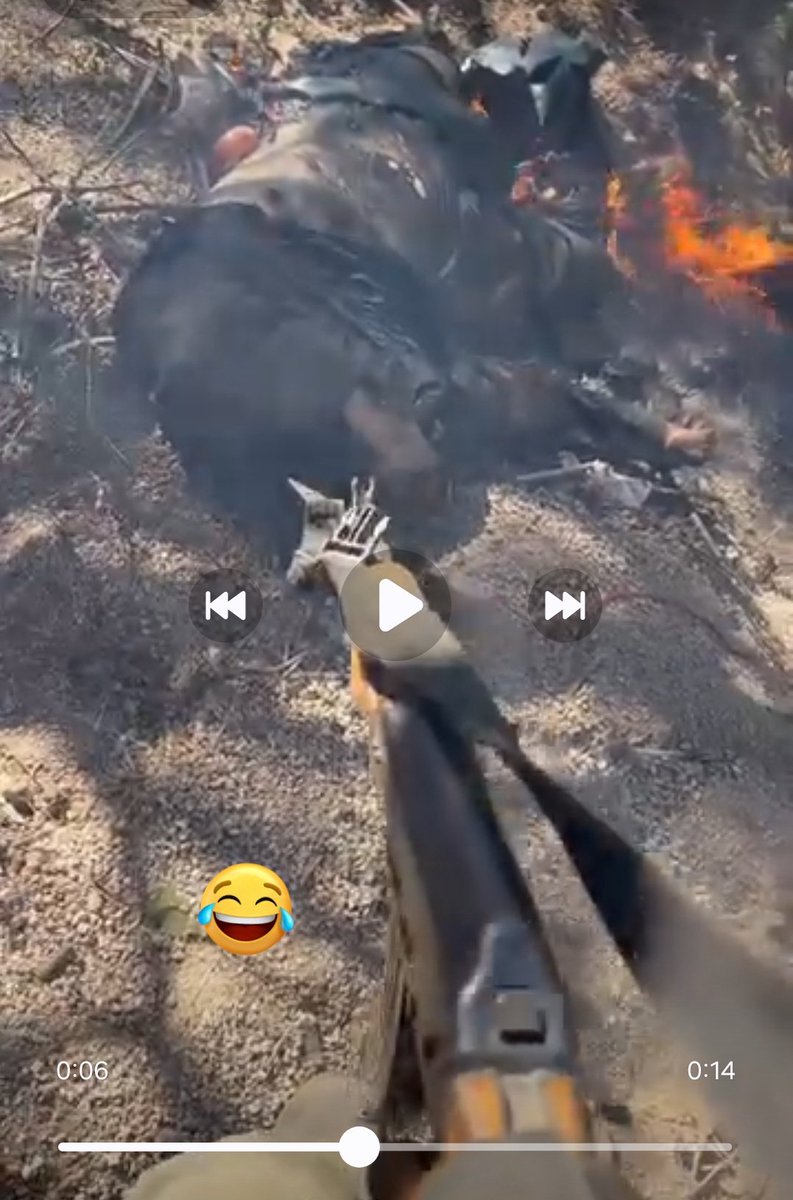 EL MENOS VISTO /ALDEA tweet media