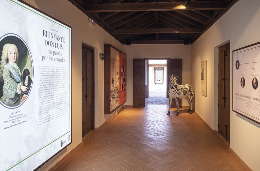 Solo Boadilla tweet media