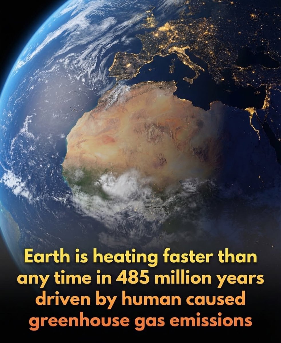 A massive new study just looked back at 485 million years of Earths history. The findings are a huge wake up call for all of us fighting for the planet and its animals.

Here is the simple truth:

Earth has been hotter than it is today in the distant past. But back then, those