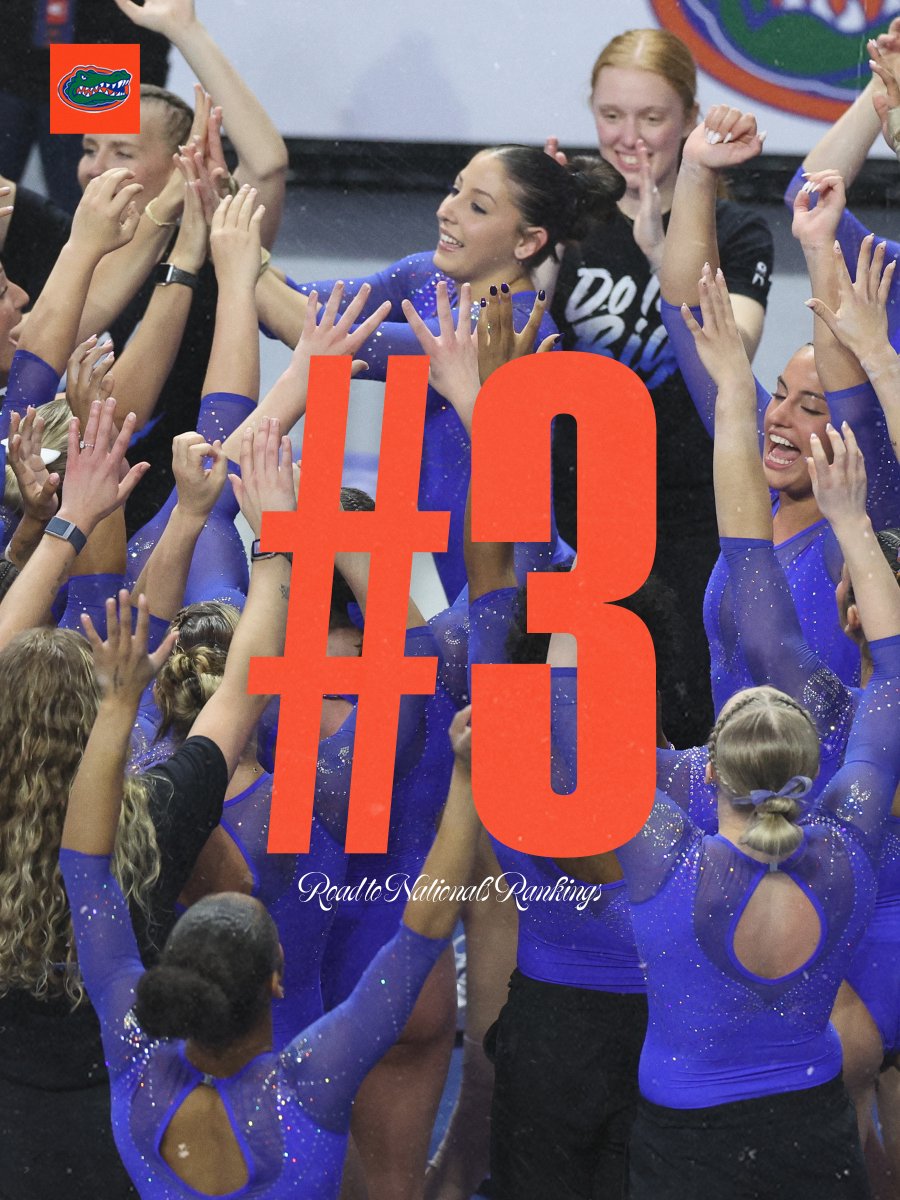 hello, no.3 👋 👋