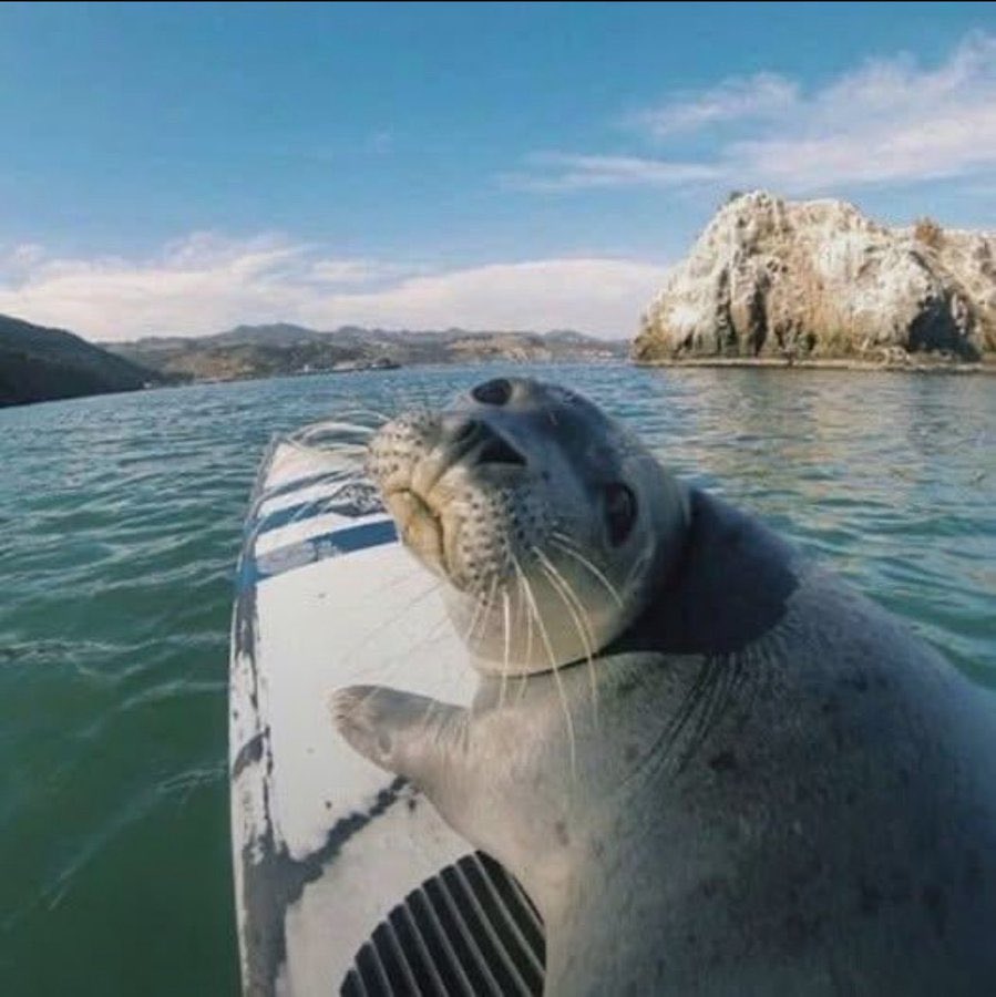 Sage ‼️‼️‼️‼️ tweet media