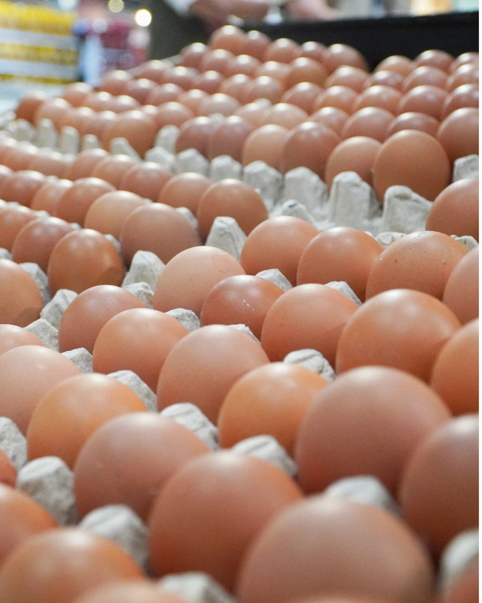 Dari ayam sampai bawang merah, stok pangan nasional dalam kondisi surplus.