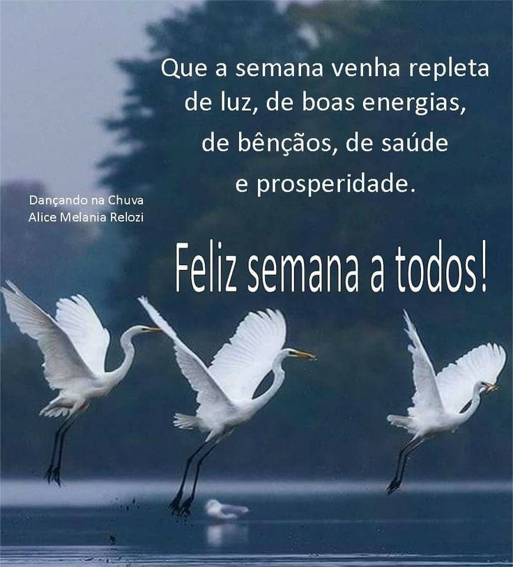Blancosep's tweet photo. https://t.co/SkddlyhOkQ
