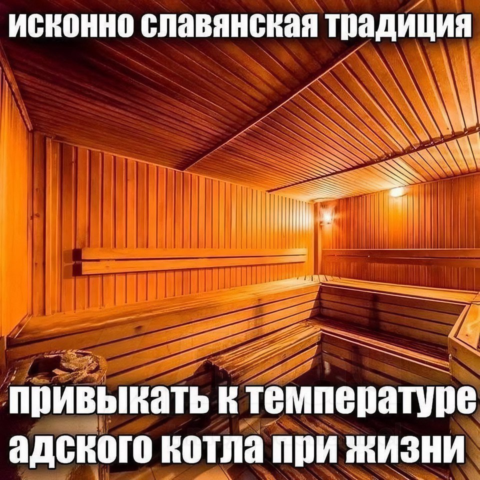 Двач tweet media