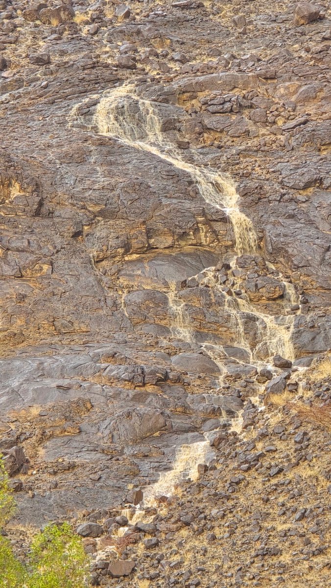 حسين الغباري tweet media