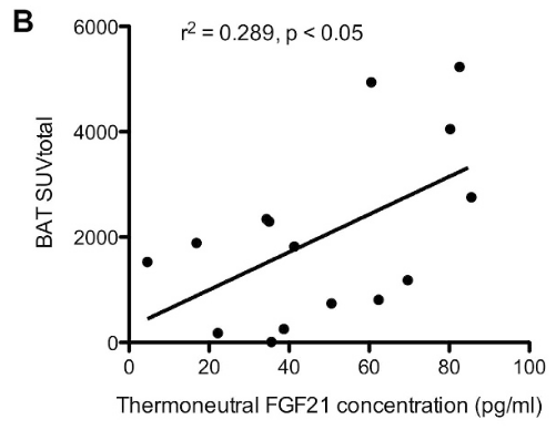 MorozkoForge tweet media