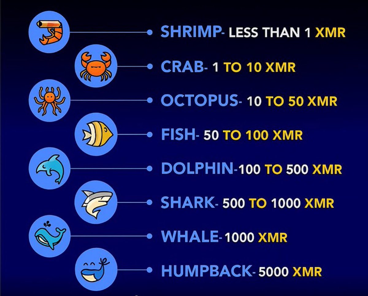 XMRVoid's tweet photo. Your goal should be a $XMR 🐳 https://t.co/r1O6VXzPFO