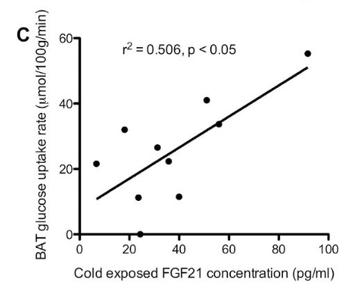 MorozkoForge tweet media