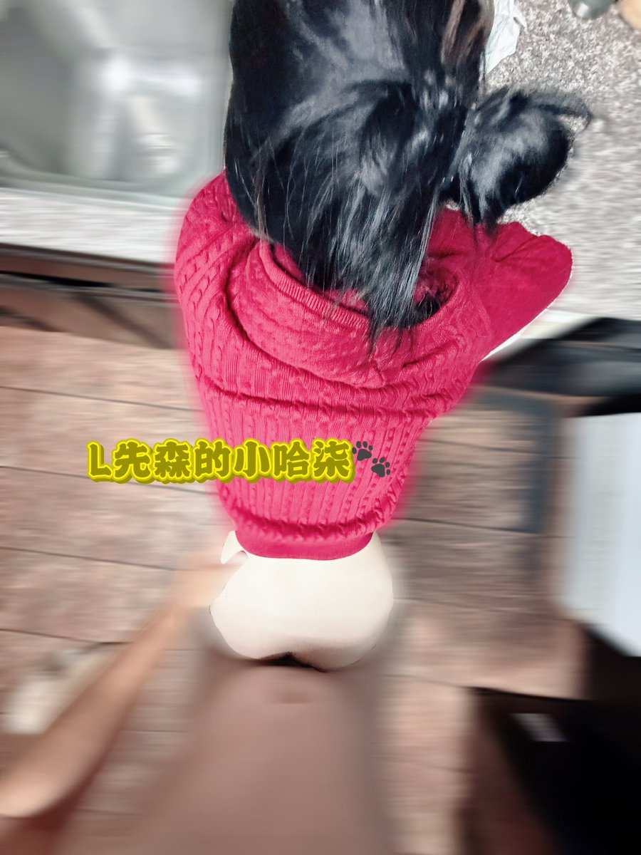 Simoneggg1201's tweet photo. 💦了一地😣 https://t.co/EliY3r2gLL
