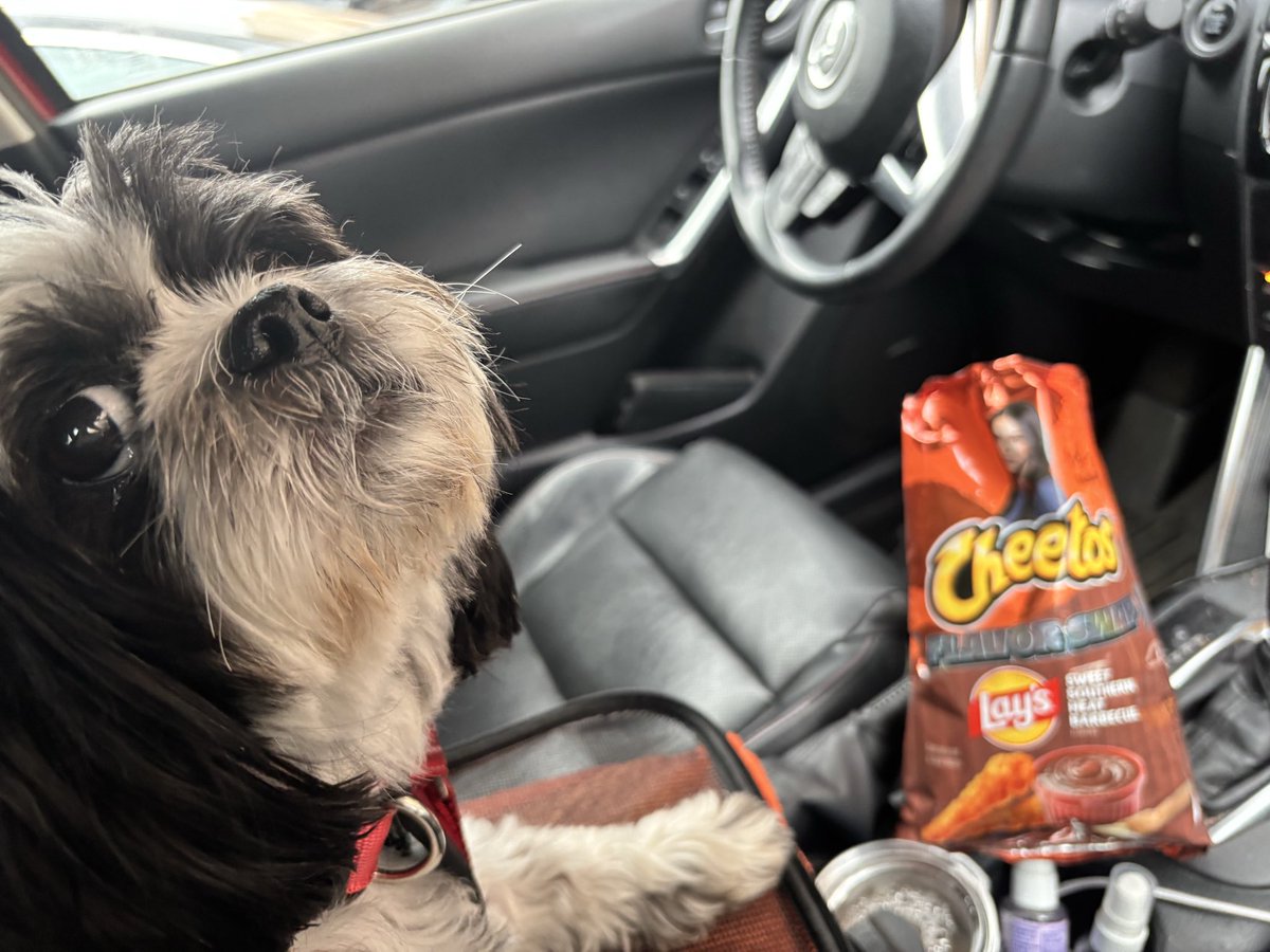 Share the last photo you took over the weekend🤗

#mondayvibesbelike ✅
#yourock🤘