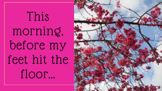 Dottie Lovelady Rogers tweet media