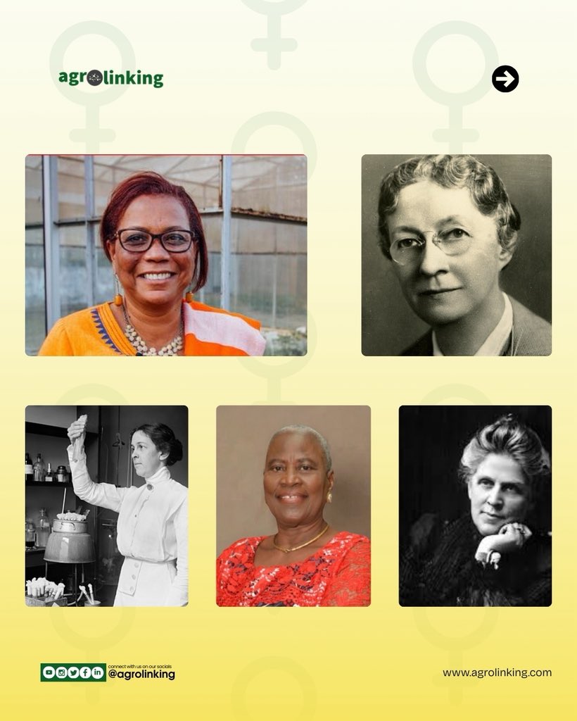 Agrolinking tweet media