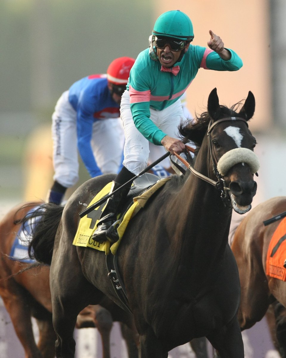 BreedersCup's tweet photo. Zenyatta ✨🏆 

Then &amp; Now https://t.co/Qo5aapphIu