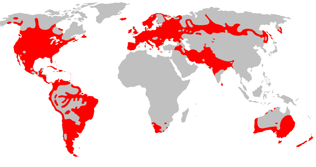 Amazing Maps tweet media