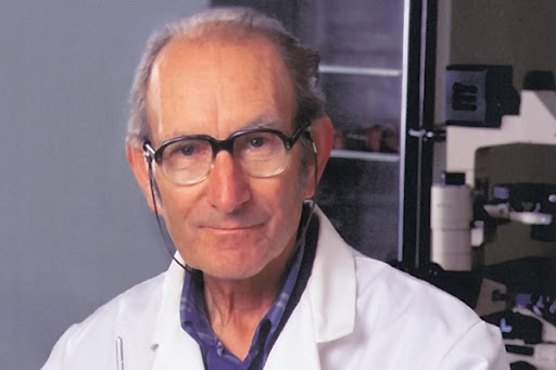 SeirenFilms tweet media