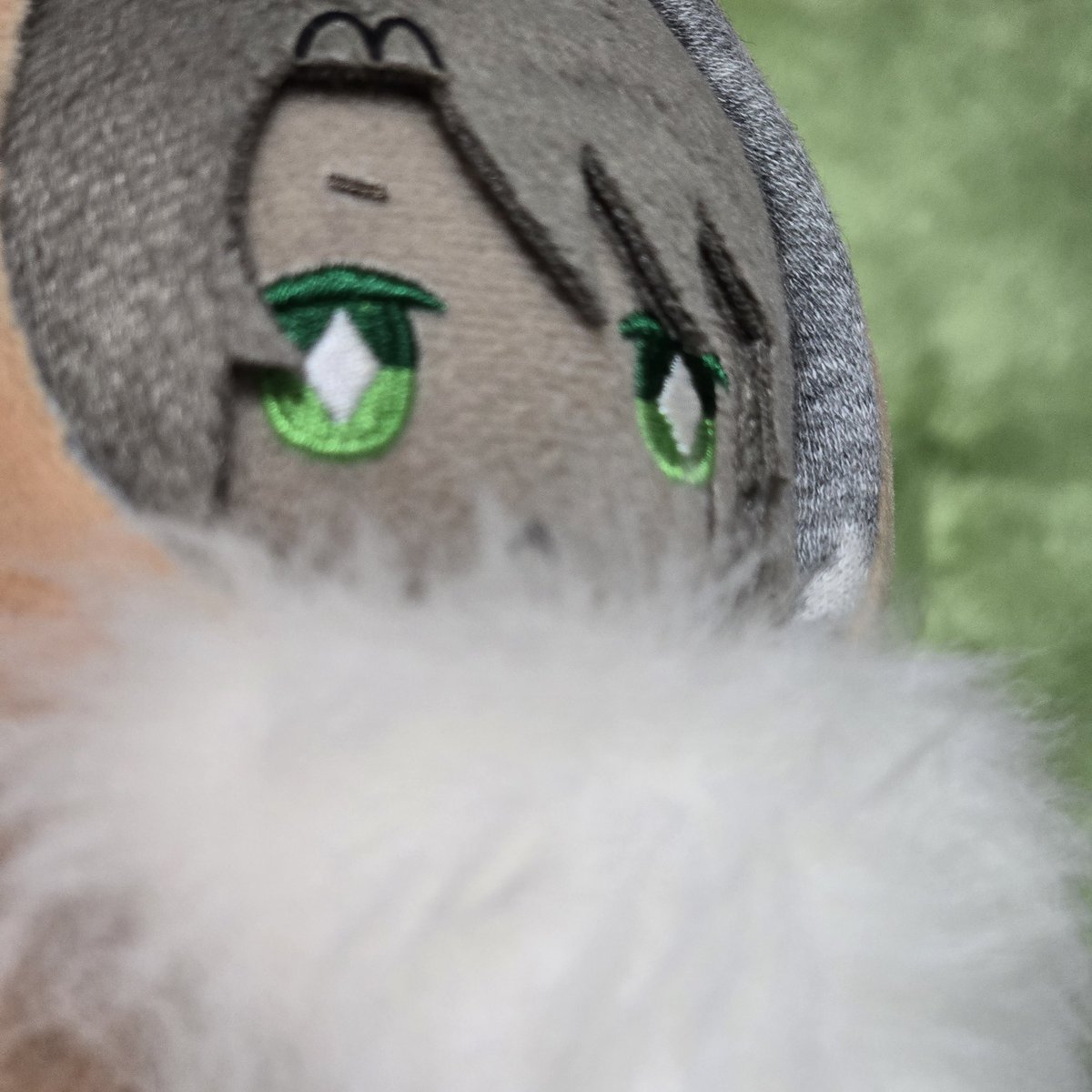 脳疲労により文章がおかしいことになって参りましたので、今日はここまでといたします。おやすみなさいませ😌🌃💤
～もふもふのむなげを添えて～