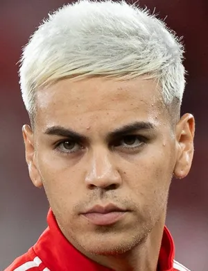 Dr. Notável 𝕏 - Transfer Expert tweet media