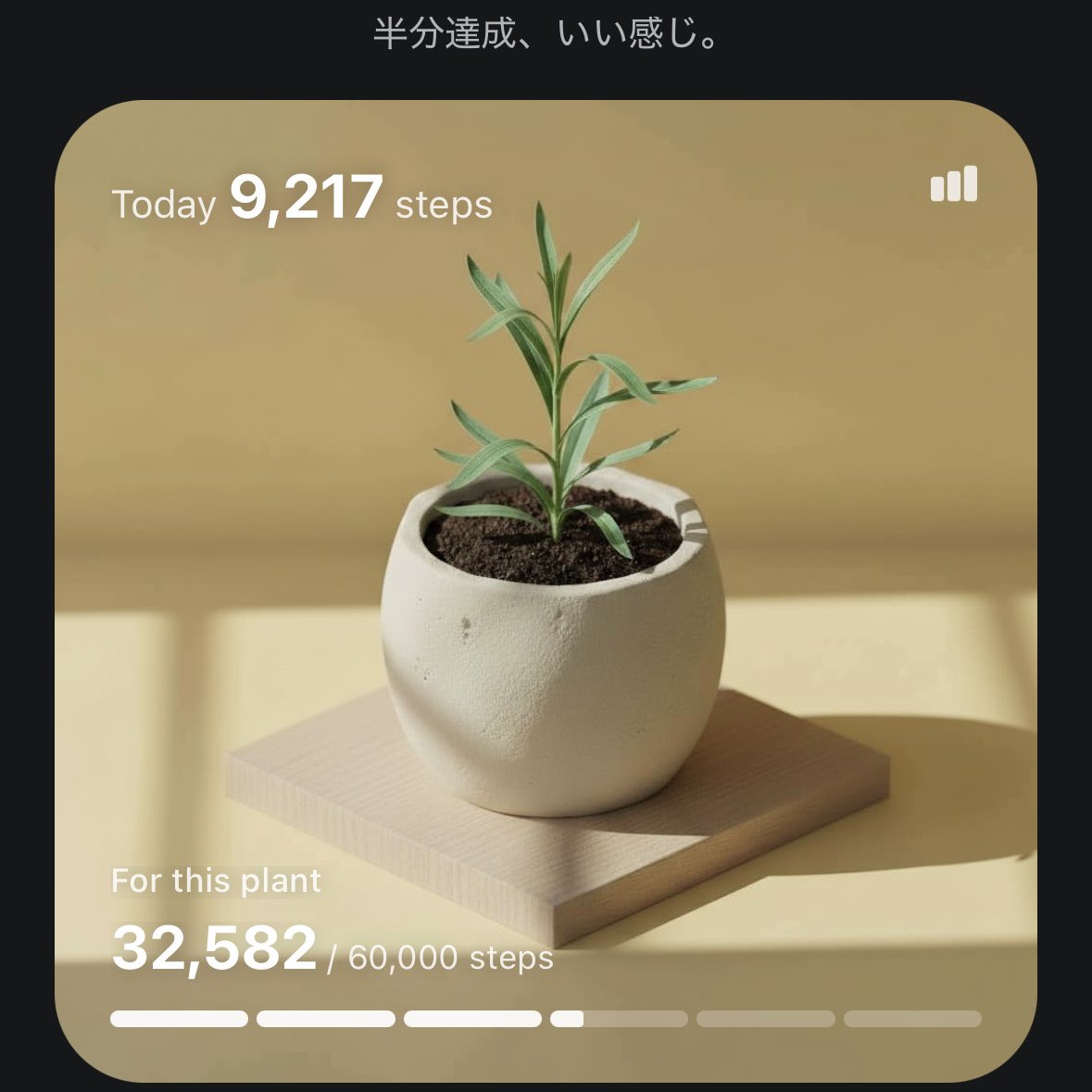 ayabird46's tweet photo. 歩数で植物が育つやつを始めてみた🌱
たまごっちを育てていたあの頃を思い出す。 https://t.co/jzZcr0G2fA