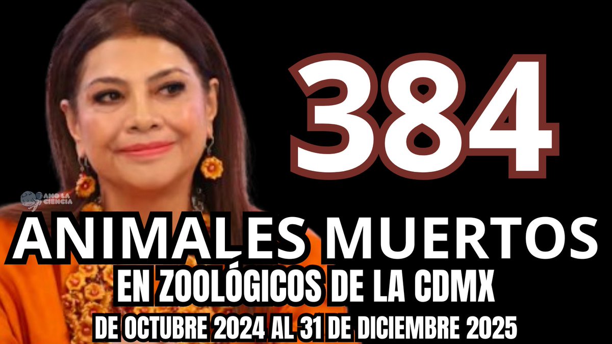 384 animales muertos en los zoológicos de la “ciudad animalista” de Brugada

Desde que Clara Brugada asumió el cargo como Jefa de Gobierno, los zoológicos de la CDMX han registrado 384 animales muertos hasta el 31 de diciembre de 2025.

Esto según datos que se solicitaron en la