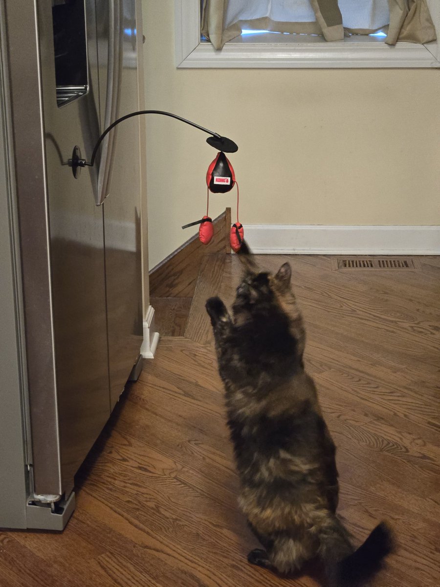 kira 🌼 tweet media