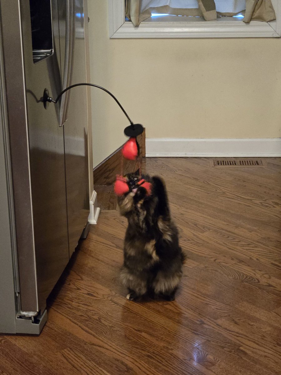 kira 🌼 tweet media