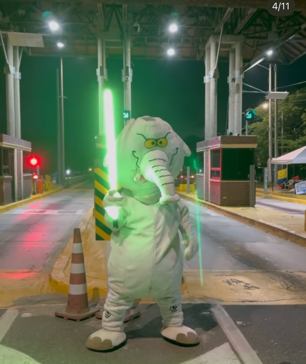 Es el elefante blanco el primer Therian congresista del mundo? 🤣 abro debate.