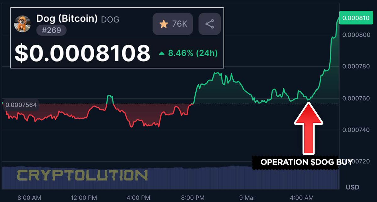 Vincent (Cryptolution) 👑 tweet media