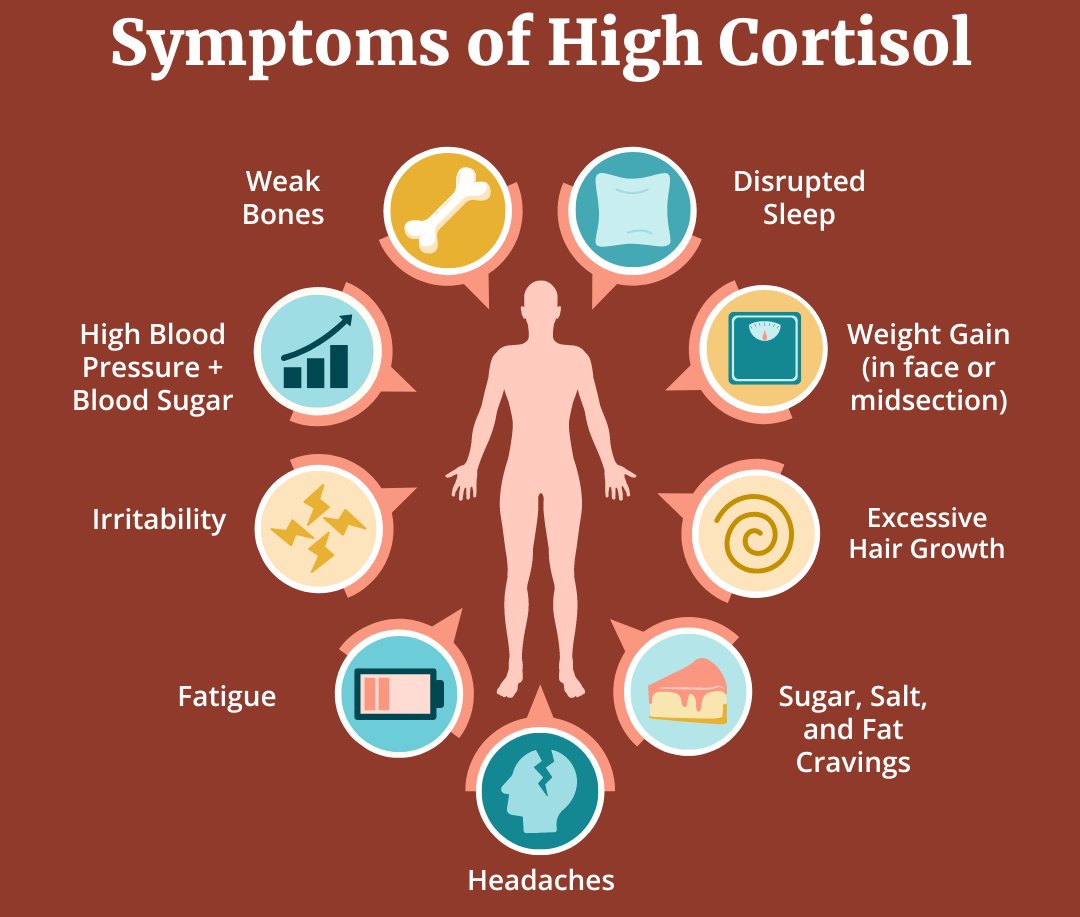 Dalton (Analyze & Optimize) tweet media