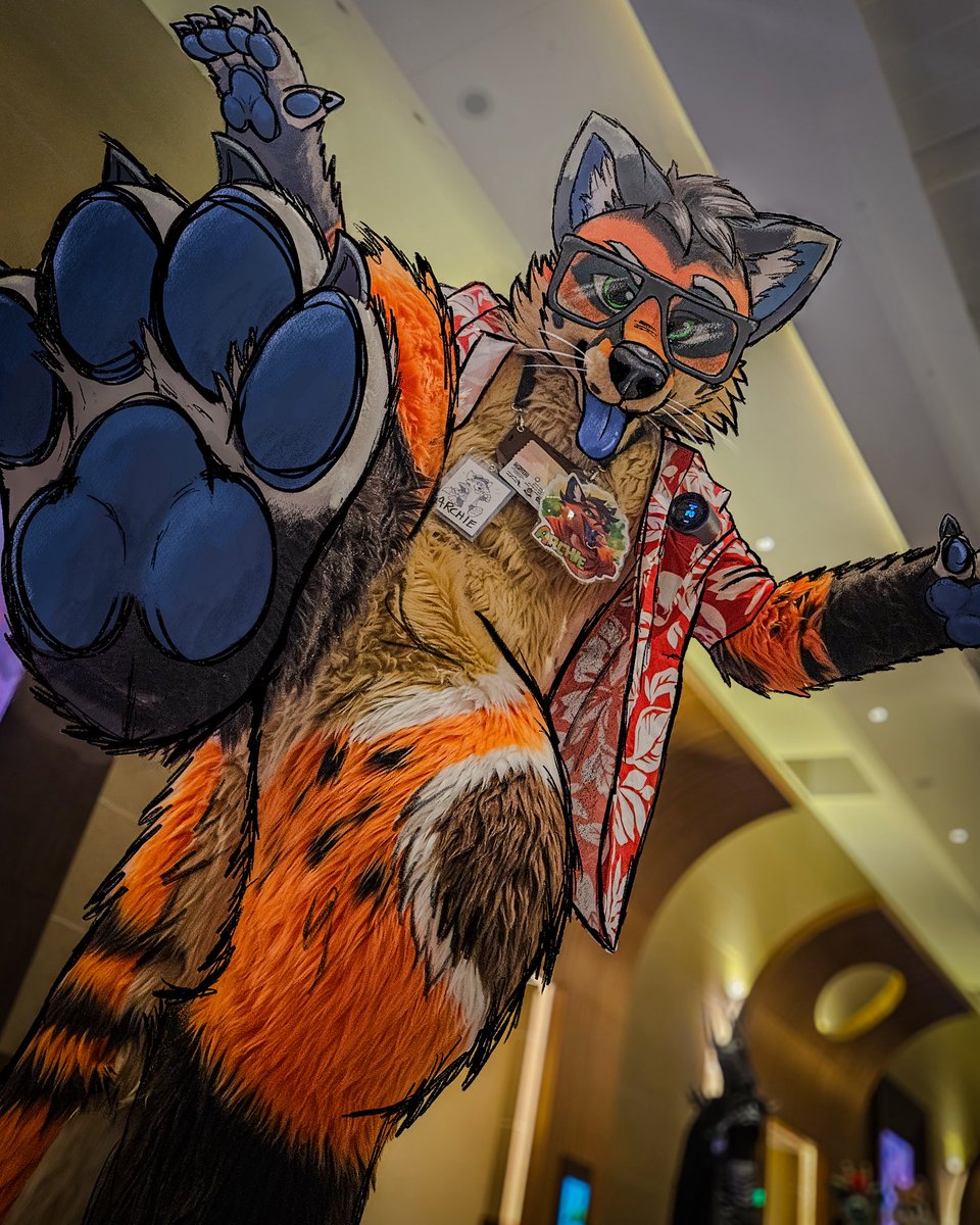 Archie 🦊 tweet media