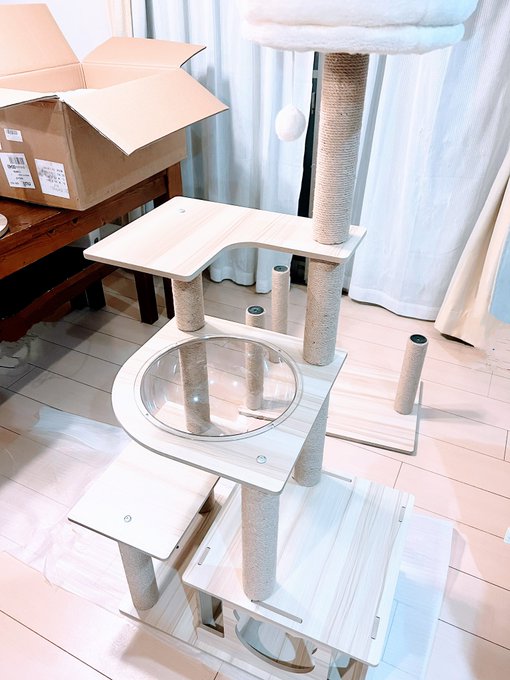 Twitterのコスプレ画像5