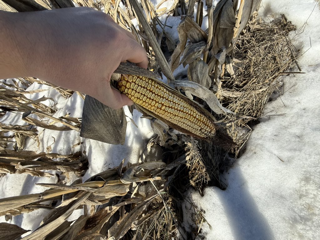 🇺🇦Yaroslav🇺🇦 tweet media