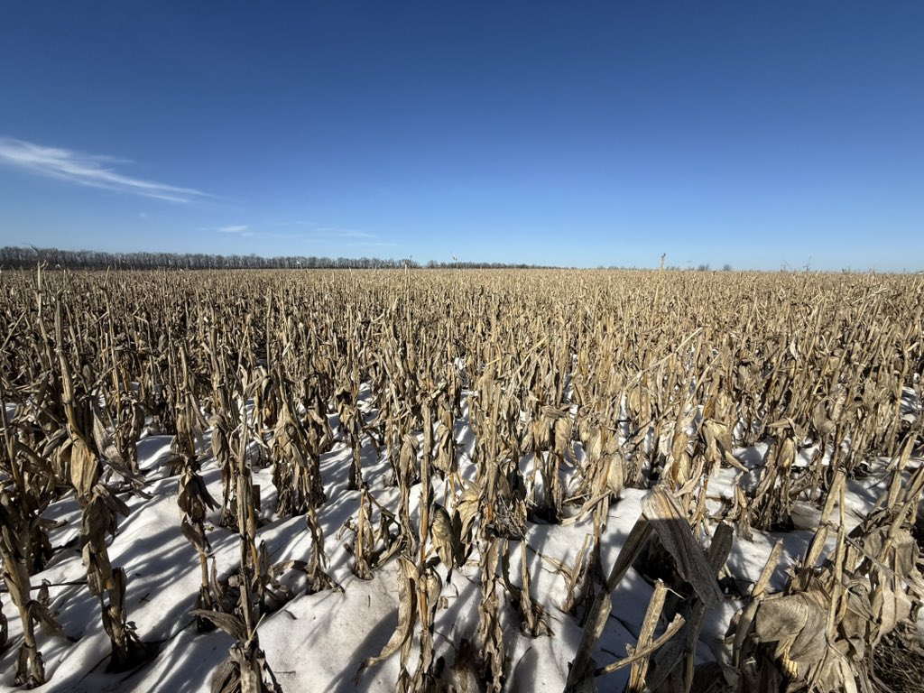 🇺🇦Yaroslav🇺🇦 tweet media