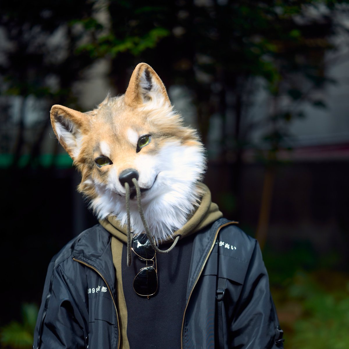 Selly GO Your Heart tweet media