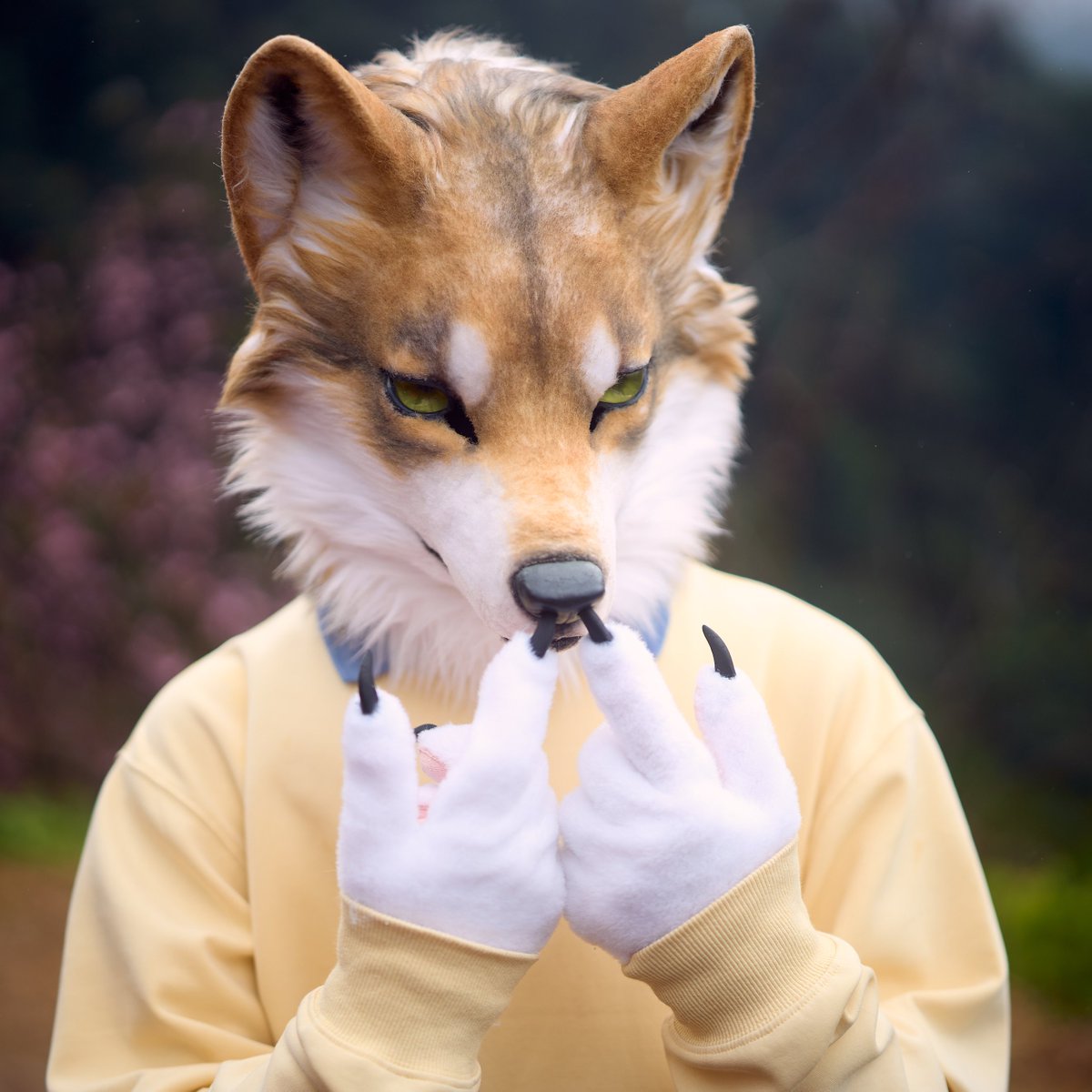 Selly GO Your Heart tweet media