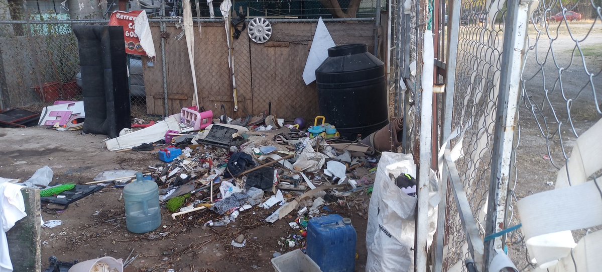 manubrio tweet media