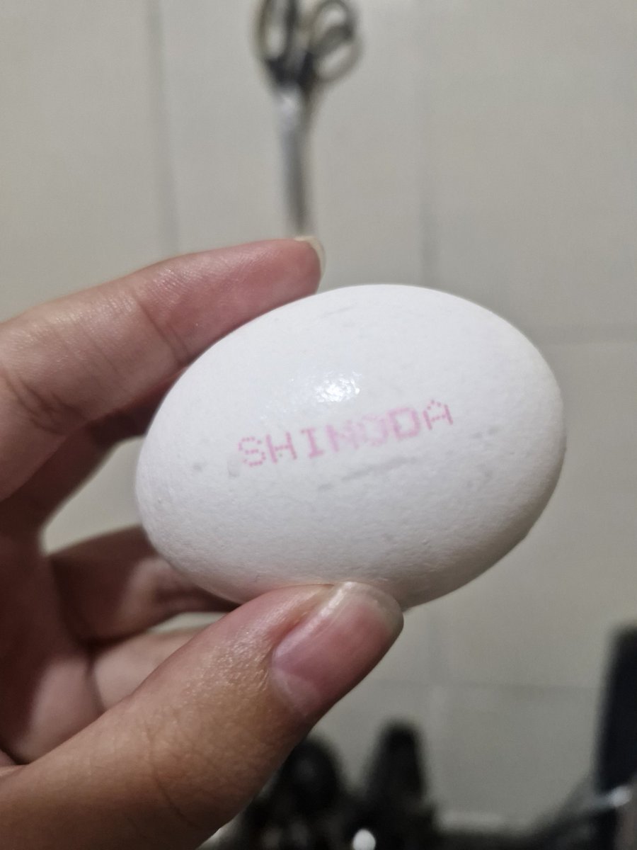 acabei de descobrir que o mike shinoda tá vendendo ovo no brasil que homem empreendedor 👍🏻