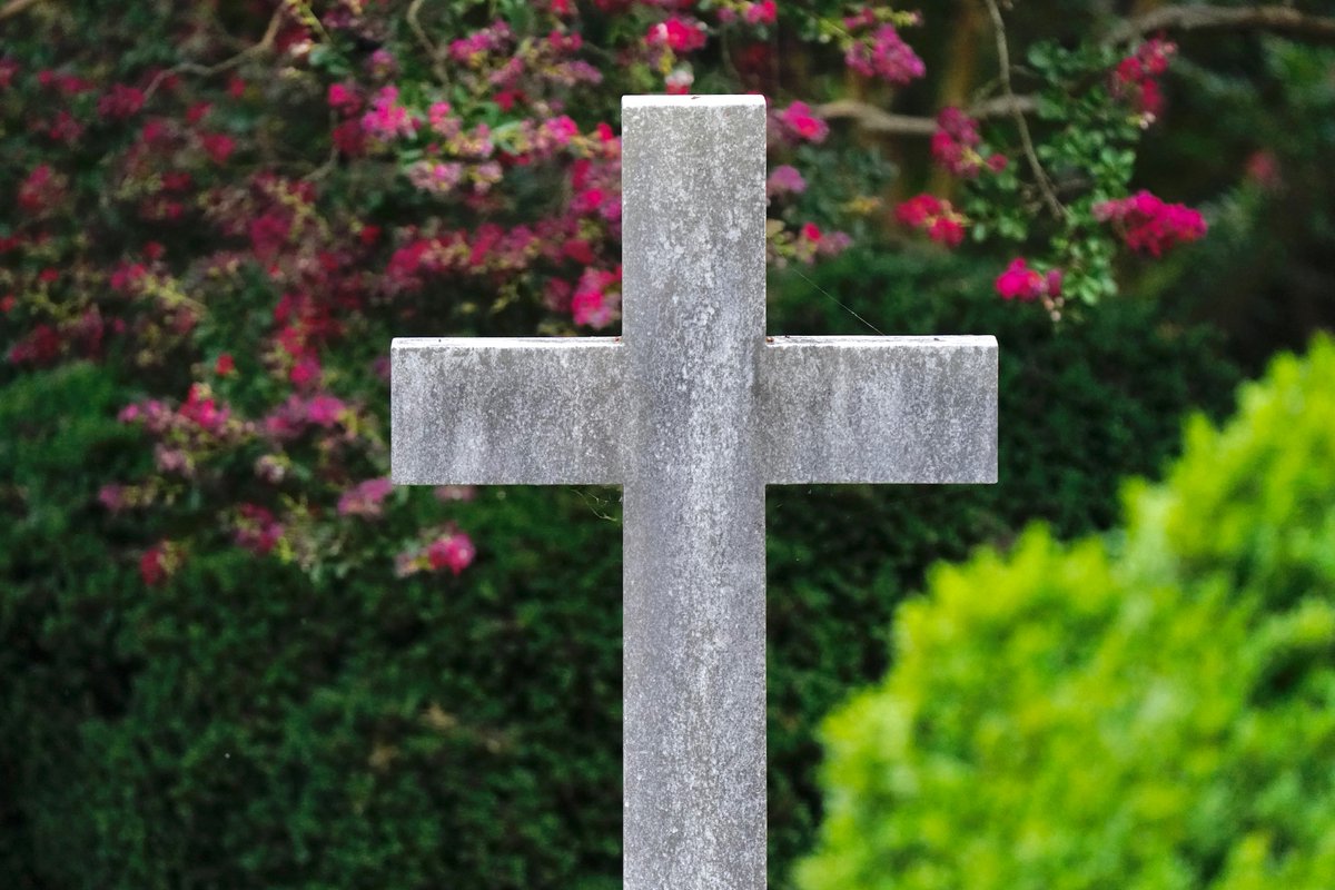 Hollywood Cemetery tweet media