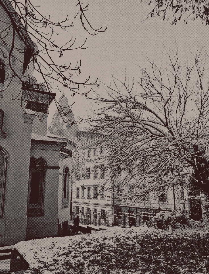 𝗏𝗂𝖼𝗍𝗈𝗋𝗂𝖺 𝖺𝗌𝖾𝗇𝗈𝗏𝖺. tweet media