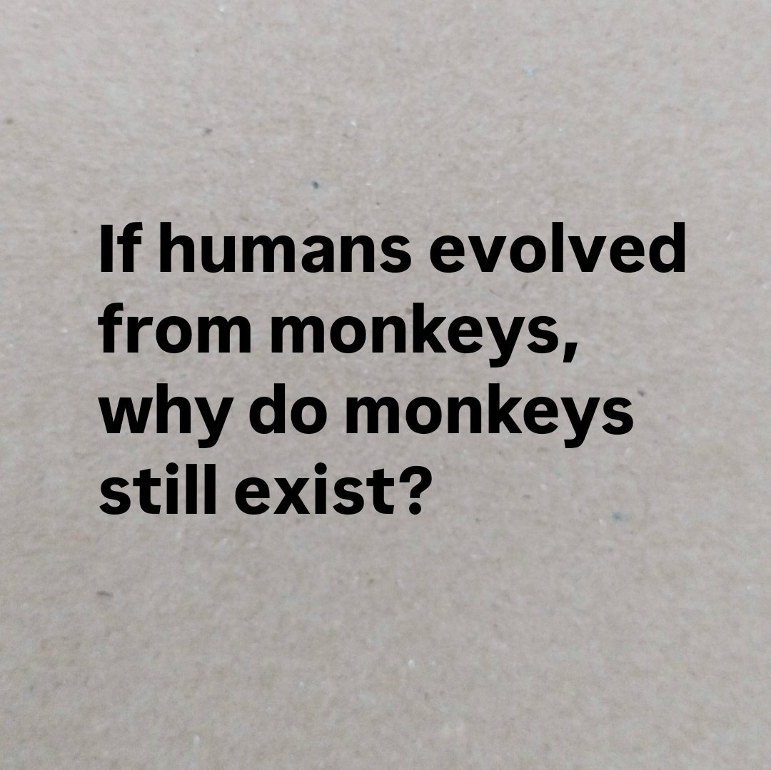 Feelings ღ tweet media