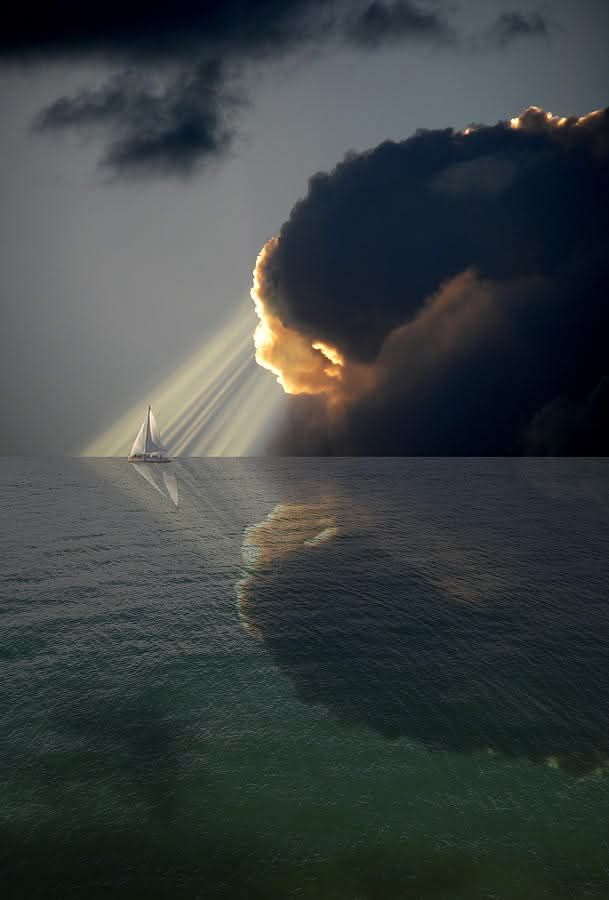 sun ☀️ tweet media