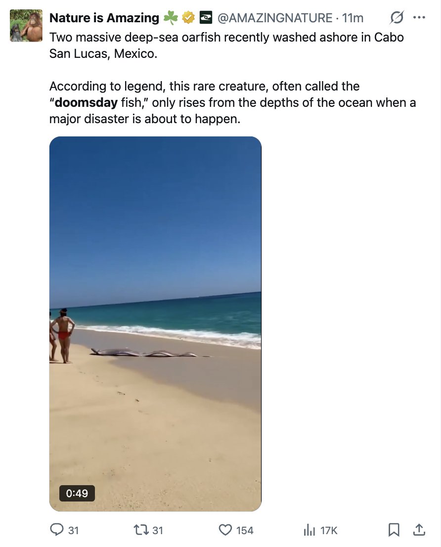 NineInchTrails tweet media